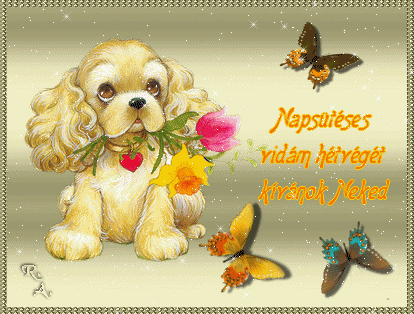 napsütéses.gif